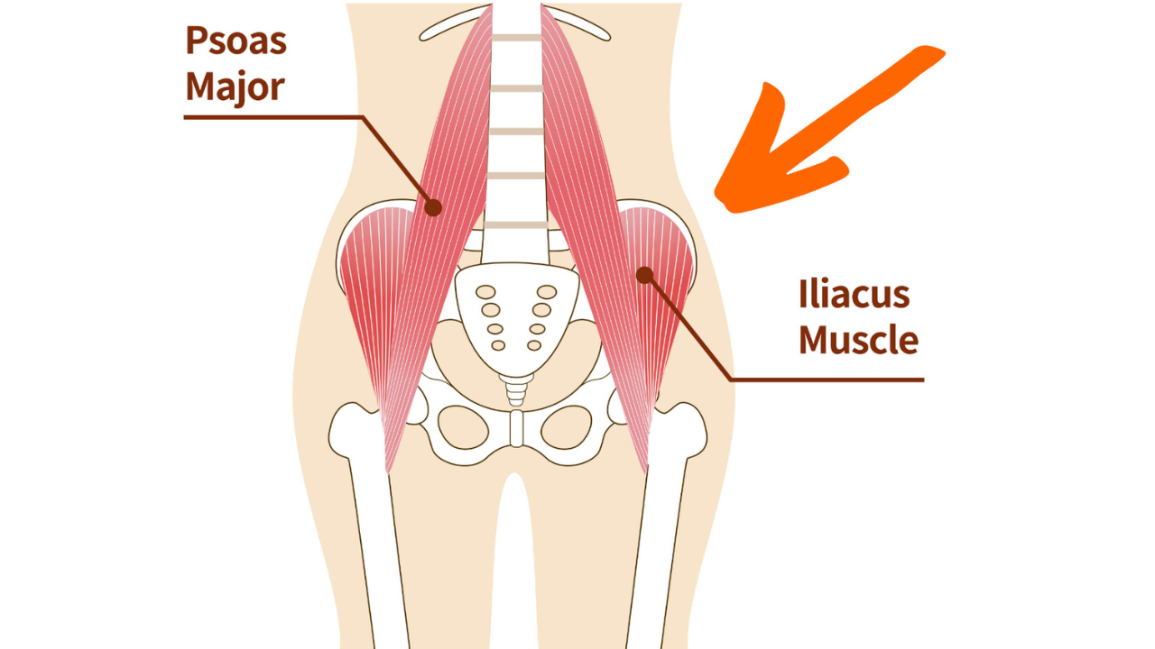 The Surprising Cause of Tight Hip Flexors (and How to Fix It) – Shop -  Posturepro