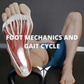 Foot Mechanics and Gait Cycle