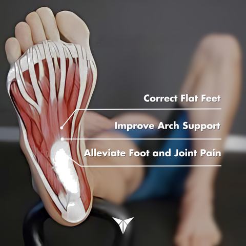 Foot Mechanics and Gait Cycle