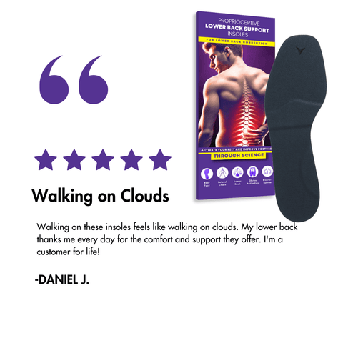 Lower Back Insoles Reviews