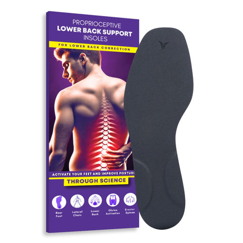 Lower Back Support